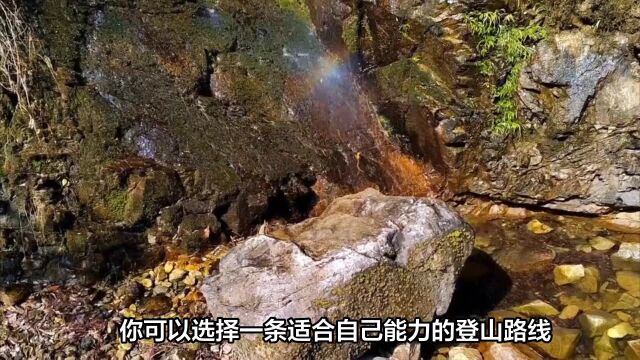 暑假游玩攻略:梧州蒙山旅游