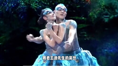 杨丽萍男孔雀跳楼离世，是舞台的悲剧，还是社会的悲哀？