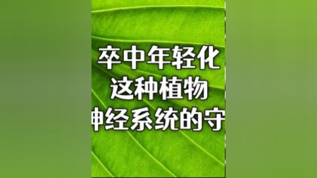 卒中年轻化,这种植物或成神经系统的守护神!#卒中防控立即行动 #大自然的馈赠 #神经系统 #神经酸 #文冠果