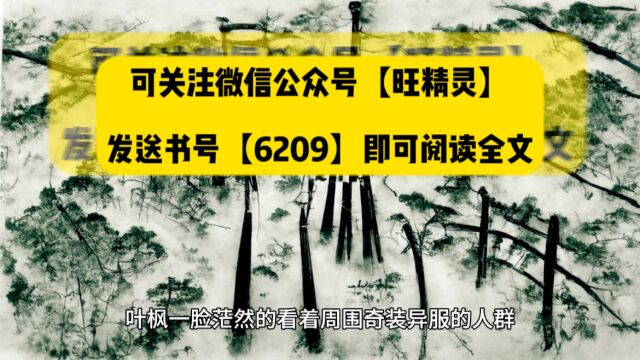 我,纨绔之名响彻诸天(叶枫小说)◇完结玄幻全文免费阅读