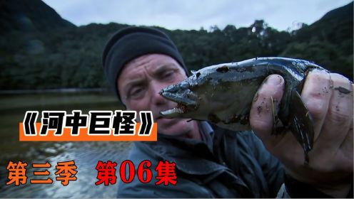 发生在新西兰的真实事件，渔民被水怪袭击，调查发现是吃人的鳗鱼