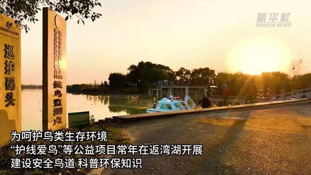 群鸟翔集越冬 绘就湿地生态画卷