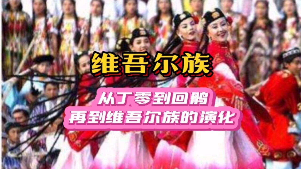从丁零人到今天的维吾尔族,几千年中是如何演化的?_高清1080P在线观看平台_腾讯视频