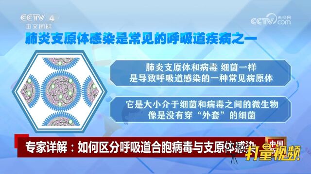 如何区分呼吸道合胞病毒与支原体感染?专家详细解读