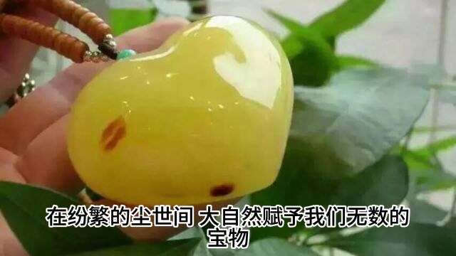 孢子粉的功效与作用,灵芝孢子粉的功效