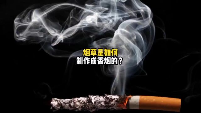 烟草的制作过程你见过吗?绝对让你大开眼界!烟草