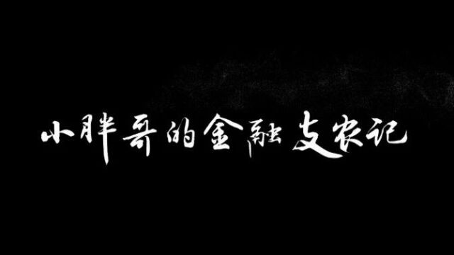 第六届金融业年度品牌案例大赛报送案例展网商银行助微助农社会责任案例