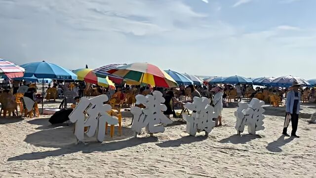 北海一浴场游客疑被鱼类咬伤 生物专家:海狼鱼可能性较大