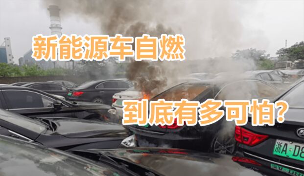 新能源车自燃到底有多可怕?想跑都跑不掉,看完你还敢买吗