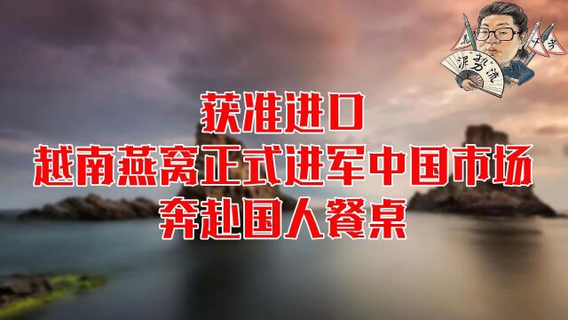 花千芳:获准进口!越南燕窝正式进军中国市场,奔赴国人餐桌!