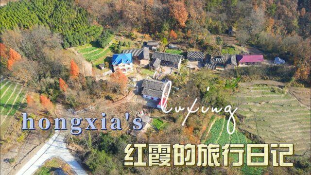 航拍秦岭杨家山,小村庄地处大山深处,空气清新风景美