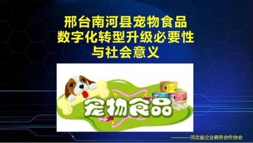 刑台南河县宠物食品产品升级行动的必要性与社会意义
