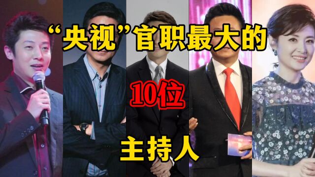 “央视”官职最大的10位主持人