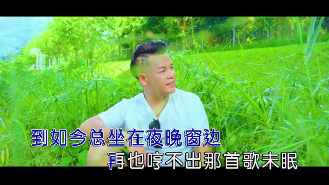 (亮星文化)范亮星乡愿MTVKTV