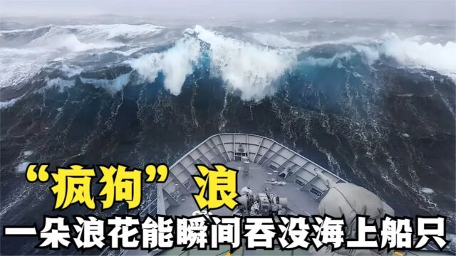 一朵浪花为何被称“疯狗”?瞬间吞没海上船只,威力怎么这么大?