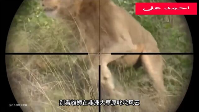 此视频无标题37051690598993941