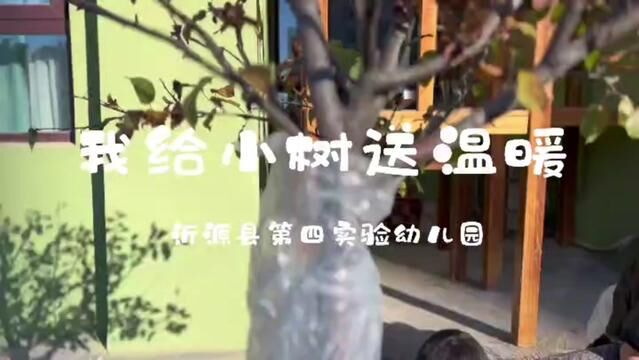 我给小树送温暖 沂源县第四实验幼儿园 宋玉婷 毕脆翠 崔光茹 王松英 审核 贾雯涵 杨敏 发布 杨梦宇 翟斌