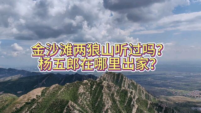 朔方节度使北方军事重镇,同时也是边关贸易节点,茶马古道的关卡