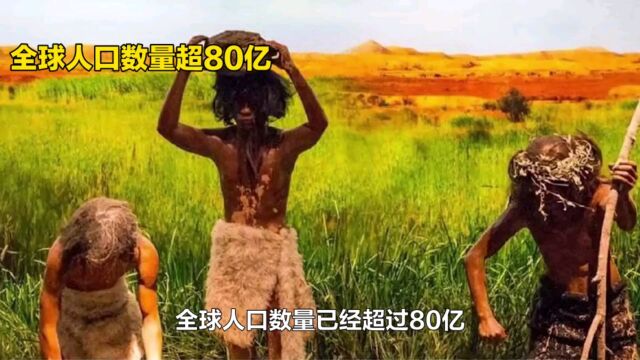 全球人口数量已经超过80亿,其中白人、黄种人和黑种人的数量分别是多少呢?