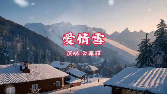 一片一片爱情雪,渲染玫瑰的炽烈