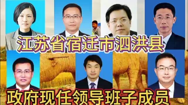 江苏省宿迁市泗洪县政府现任领导班子成员,宿迁6位,谁是家乡的