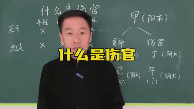 什么是伤官 #易学智慧