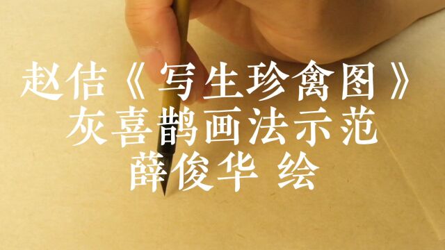 赵佶《写生珍禽图》灰喜鹊画法示范