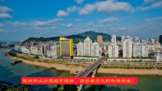 梧州中山公园:城市绿肺,自然与文化的和谐共生!