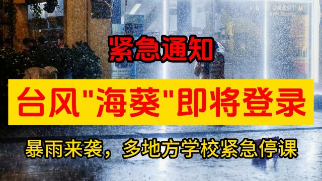 紧急通知,台风“海葵”即将登陆,多地学校紧急停课