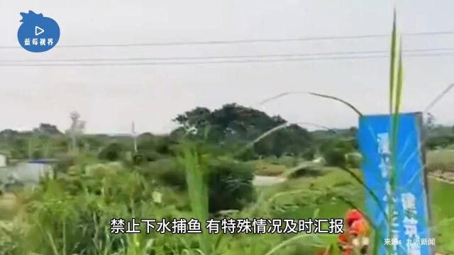 网传广东茂名一养殖场鳄鱼出逃?镇政府回应