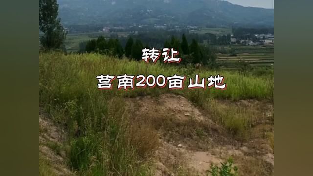 莒南涝坡200亩山转让 报价10万 合同11年 到期再续30年 ,承包费一年1.5万,村委可以更名 ,地势平缓,适合药材种植