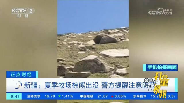 牧民拍下棕熊牧场觅食画面,警方提醒:不要靠近!