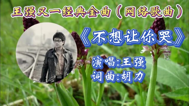 重温王强经典金曲《不想让你哭》歌词婉转忧伤,磁性歌声唱出了多少痴情男女的心声!