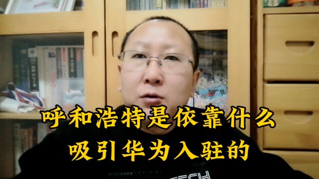 华为、合盛、阿特斯相继入驻呼和浩特,是什么原因?