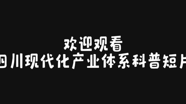 四川现代化产业体系科普短片