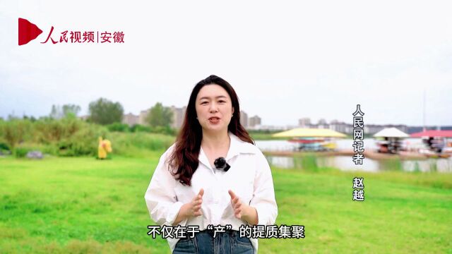 合肥新桥科创示范区十周年:绘就产城融合新画卷