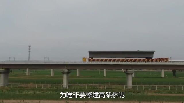 为什么高铁下是平地,还非要花钱建高架桥?看完涨知识了