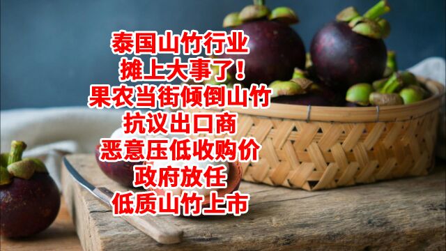 泰国山竹出口利润暴涨10倍,国内价格暴跌9成,果农倾倒山竹抗议