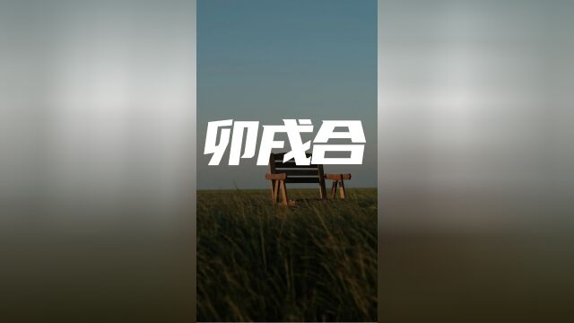 卯戌合,更容易做合网络相关工作