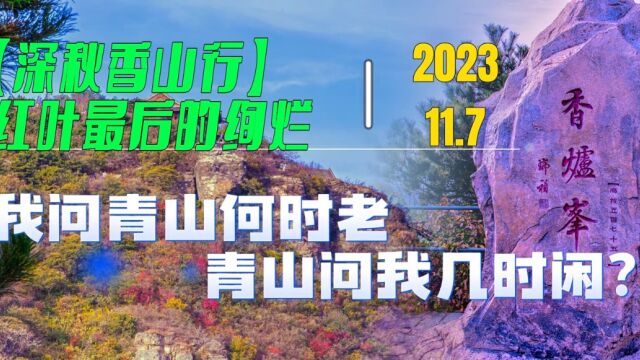 我问青山何时老,青山问我几时闲?香山公园红叶,留住秋天的美好