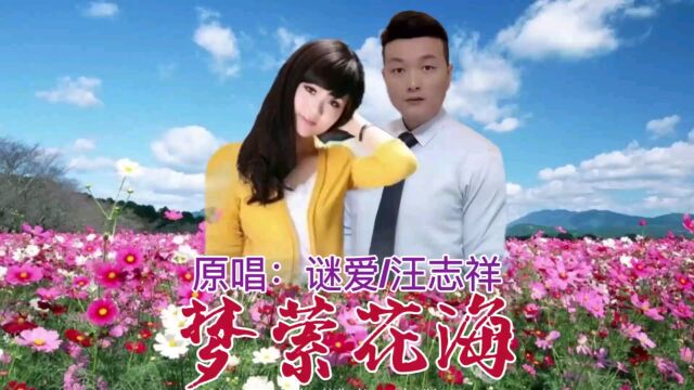 谜爱、汪志祥  梦萦花海(#云星文化KTV )路飞剪辑