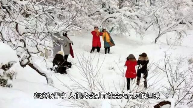 河间市第一场雪