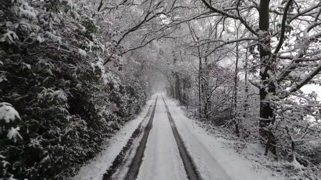 12月16日雪景