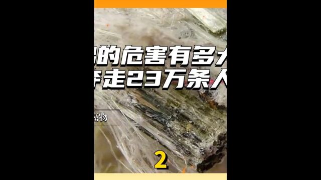 石棉的危害有多大?每年夺走23万条人命,被我国列为一级致癌物2科普一下环境污染石棉