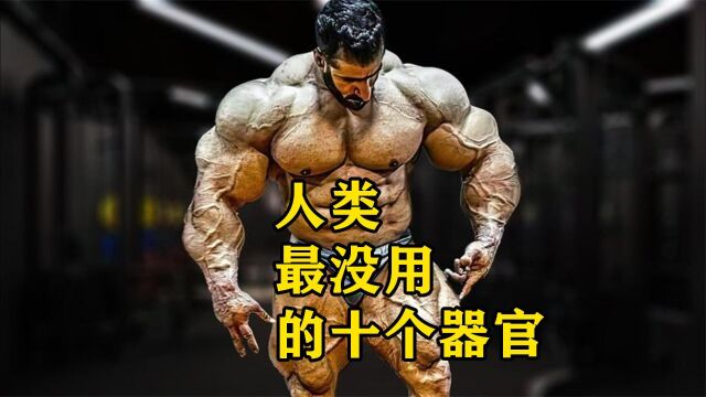 人类最没用的十个器官,男性乳头上榜,第一名的存在太痛苦