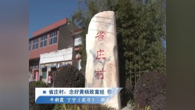 【乡村振兴】省庄村:念好黄杨致富经 带动群众奔富路