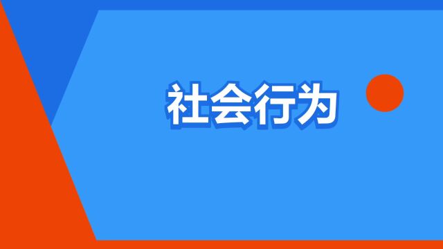 “社会行为”是什么意思?