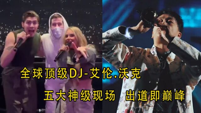 全球顶级DJ艾伦.沃克五大神级现场, 一首《Faded》风靡全球,出道即巅峰