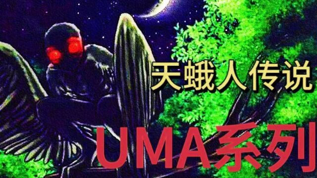 《UMA系列》天蛾人的神秘传说!讲述天蛾人的目击事件以及分析.