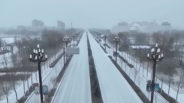 河北发布暴雪黄色预警:沧州、衡水、邢台、邯郸等地局地有大暴雪